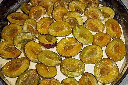 Zwetschgenkuchen 140