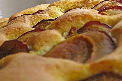 Zwetschgenkuchen 134
