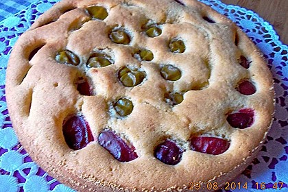Zwetschgenkuchen 94