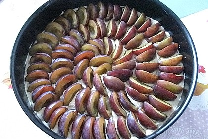 Zwetschgenkuchen 26