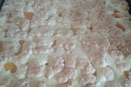 Quark - Blechkuchen 45