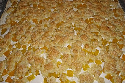 Quark - Blechkuchen 40