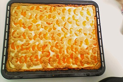 Quark - Blechkuchen 44
