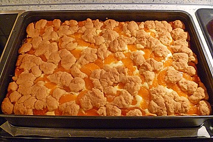 Quark - Blechkuchen 23