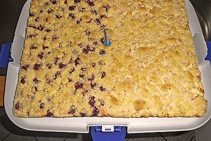 Quark - Blechkuchen 29