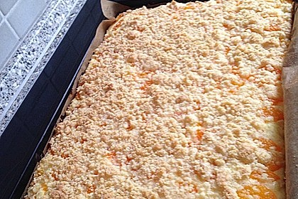 Quark - Blechkuchen 13