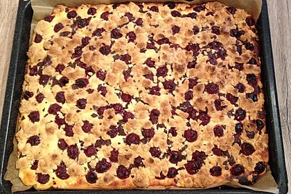 Quark - Blechkuchen 12