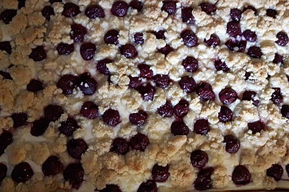 Quark - Blechkuchen 37