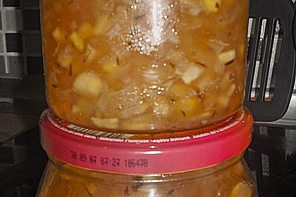 Apfel - Zwiebel - Konfitüre 14