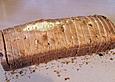Zwieb&auml;ckchen