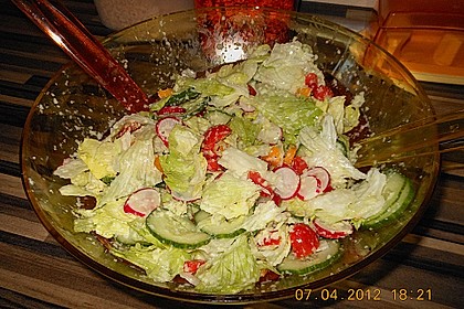 Sommersalat mit Avocadodressing 1