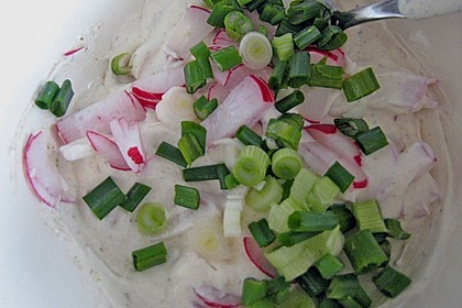 Fr&uuml;hlingsquark mit Lauchzwiebeln und Radieschen