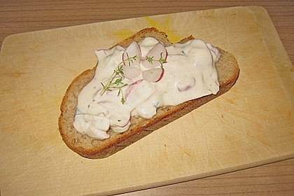 Fr&uuml;hlingsquark mit Lauchzwiebeln und Radieschen 1