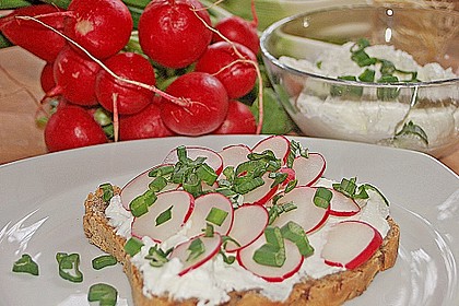 Fr&uuml;hlingsquark mit Lauchzwiebeln und Radieschen 2