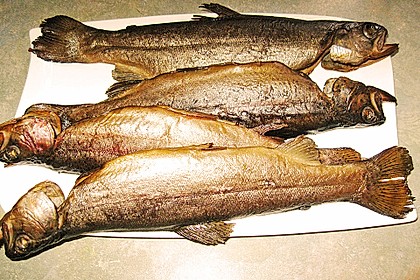 Heißräuchern von Fisch 9