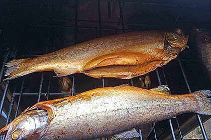 Heißräuchern von Fisch 6