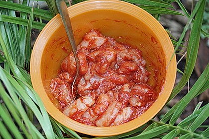 H&auml;hnchen - Tomaten - Zwiebel - Spie&szlig;e 2