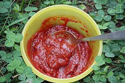 H&auml;hnchen - Tomaten - Zwiebel - Spie&szlig;e 3
