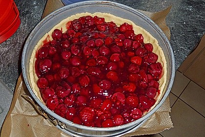 Kirsch - Himbeerkuchen mit Kokosstreusel 7