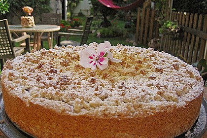 Kirsch - Himbeerkuchen mit Kokosstreusel 10