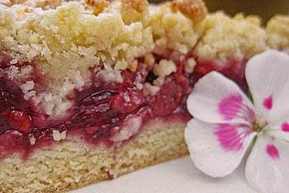 Kirsch - Himbeerkuchen mit Kokosstreusel 11