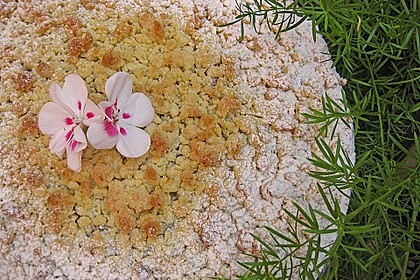 Kirsch - Himbeerkuchen mit Kokosstreusel 12