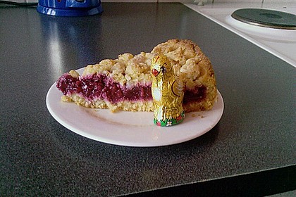 Kirsch - Himbeerkuchen mit Kokosstreusel 19