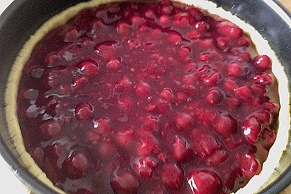 Kirsch - Himbeerkuchen mit Kokosstreusel 20