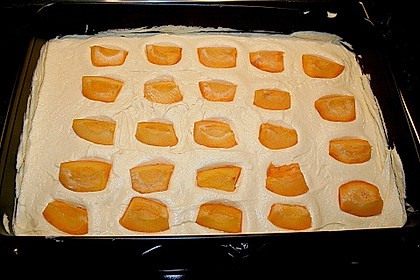 Obstkuchen (Aprikosen- oder Apfelkuchen) 3