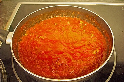 Bolognese 13
