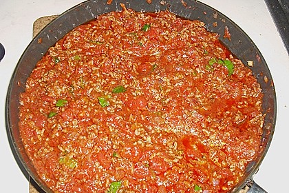 Bolognese 11