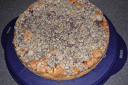 Apfel - Birnen - Kuchen 53