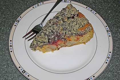 Apfel - Birnen - Kuchen 40