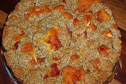 Apfel - Birnen - Kuchen 44