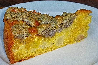 Apfel - Birnen - Kuchen 14