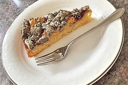 Apfel - Birnen - Kuchen 33