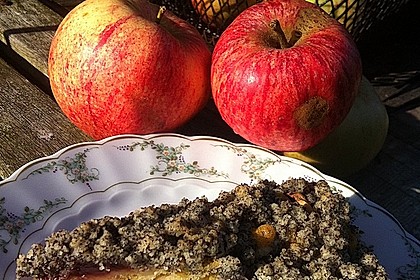 Apfel - Birnen - Kuchen 12