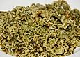 Vollkornpasta mit L&ouml;wenzahnpesto