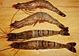 Feurige Gambas