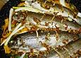 Gebackene Forellen leicht asiatisch