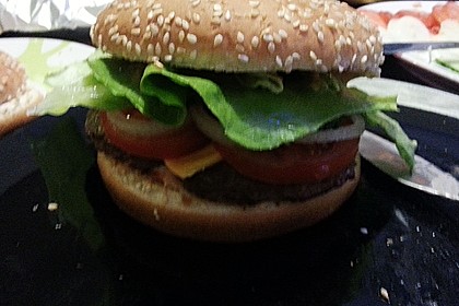Hamburger 5