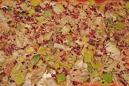 Lauchplooz 3
