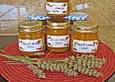 Aprikosen - Marmelade mit Lavendel