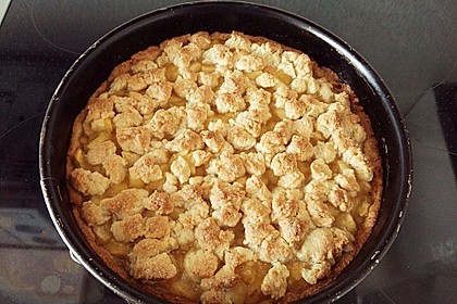 Veganer Apfel - Streusel - Kuchen 8