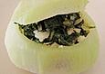 Gef&uuml;llte Kohlrabi