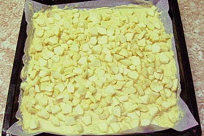 250er Thüringer Streuselkuchen 69