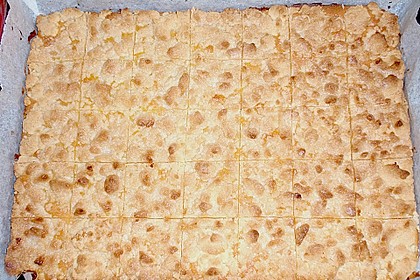 250er Thüringer Streuselkuchen 44