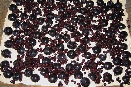 250er Thüringer Streuselkuchen 68