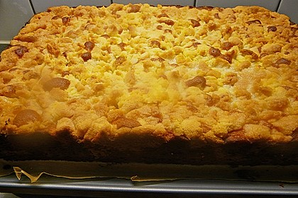 250er Thüringer Streuselkuchen 35