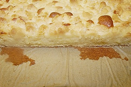 250er Thüringer Streuselkuchen 46